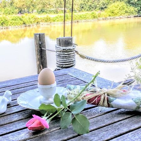 Quai Des Fleurs Bed & Breakfast Saint-Savinien Екстериор снимка