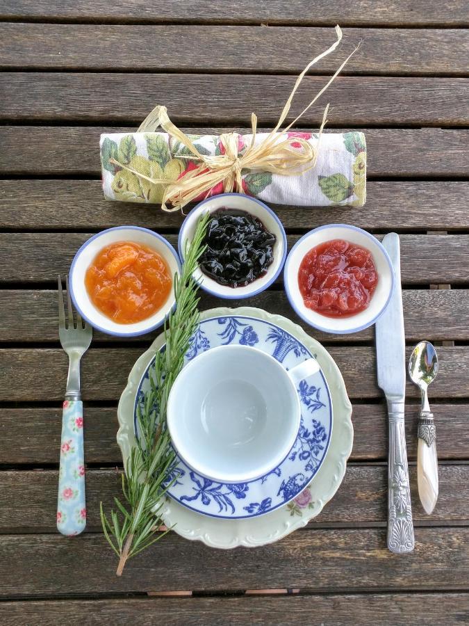 Quai Des Fleurs Bed & Breakfast Saint-Savinien Екстериор снимка