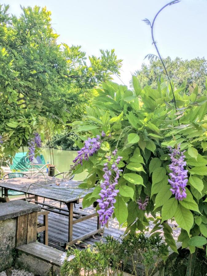Quai Des Fleurs Bed & Breakfast Saint-Savinien Екстериор снимка