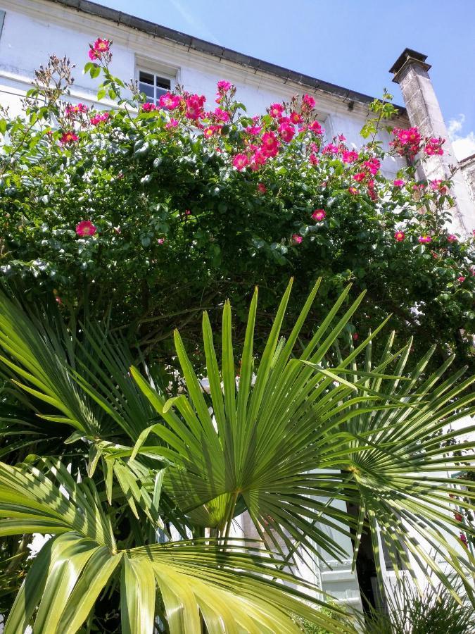 Quai Des Fleurs Bed & Breakfast Saint-Savinien Екстериор снимка